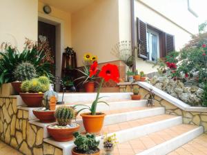 Ein Haufen Topfpflanzen auf der Treppe eines Hauses. in der Unterkunft Villa Margherita in Montaquila