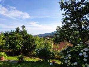a view of a garden with trees and flowers at O Lughar Darriba Fogar Natural in Gallardo