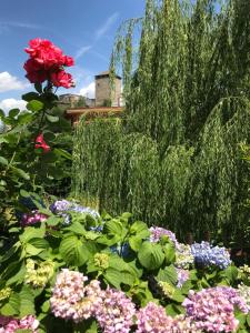 Pension an der Mayenburg