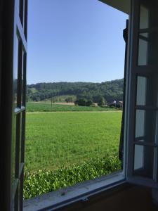 Příroda nedaleko bed and breakfast