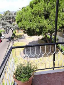 a balcony with two potted plants and a view of a park at House Henry in Vado Ligure