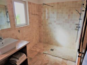 un bagno con lavandino e doccia di Le Mas de l'Escaillon a Saint-Saturnin-lès-Apt Altre 23 foto