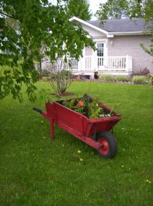 a red wheelbarrow filled with flowers in a yard at Gîte Au p'tit bonheur B&B in Coaticook
