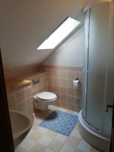 ein Bad mit einem WC, einem Waschbecken und einer Dusche in der Unterkunft Apartman Marina in Krvavica