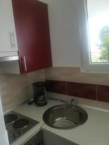 Kuchyňa alebo kuchynka v ubytovaní Apartmani Ivić Paka Rab