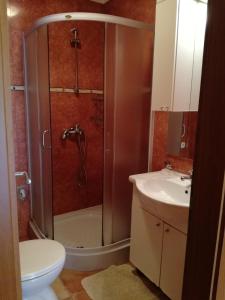 een badkamer met een douche, een toilet en een wastafel bij Apartment Nela in Funtana