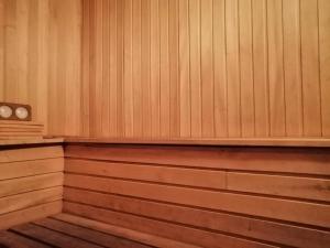an empty sauna with wood paneled walls and benches at Guest House Villa Roza in Gagra
