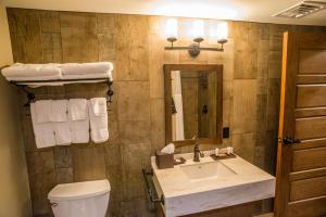 a bathroom with a sink and a toilet and a mirror at Echo Bluff State Park Lodge and Cabins in Eminence