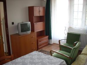 a living room with a tv and two chairs at Fanni Vendégház in Miskolctapolca