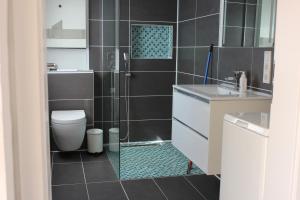 a bathroom with a toilet and a glass shower at Ferienhaus am Birkenwaeldchen - Motzener See 150m in Mittenwalde