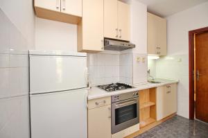 Kuchyň nebo kuchyňský kout v ubytování Apartments Alex
