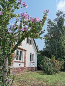 una casa blanca con flores rosas delante de ella en Villa Vonyarc, en Vonyarcvashegy