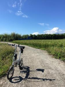 Radfahren an der Unterkunft The Kite oder in der Nähe