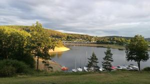 Elle offre une vue sur un lac avec des bateaux. dans l'établissement Apartmány Orlík - Loužek, à Milešov