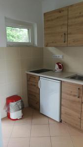 Kuchyň nebo kuchyňský kout v ubytování Apartmány Orlík - Loužek