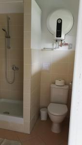 Koupelna v ubytování Apartmány Orlík - Loužek