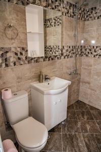 uma casa de banho com um WC, um lavatório e um chuveiro em Apartment Vazrozhdenska em Veliko Tarnovo