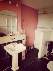 La salle de bains est pourvue d'un lavabo, d'un miroir et de toilettes. dans l'établissement B&B Lieven Bauwens, à Gand
