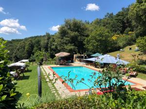 a swimming pool in the middle of a garden at Casa Mazzoni in Roccastrada