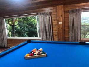 Biliár nebo kulečník v ubytování Yiyue Guanhe Homestay 倚月觀荷民宿