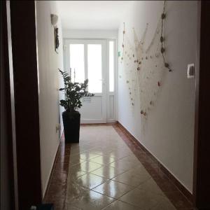 Fotografie z fotogalerie ubytování Apartment Lanterna v destinaci Blace