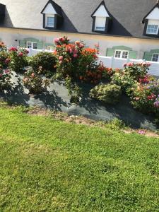 uma linha de flores em frente a uma casa em Gîtes du Ménez-Hom em Plomodiern