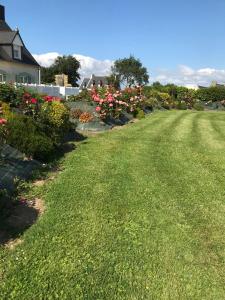 a yard with green grass and pink flowers and a house at Gîtes du Ménez-Hom in Plomodiern