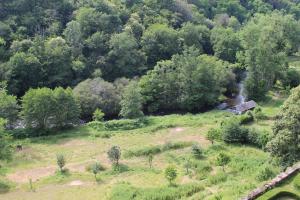 una vista aérea de un campo con árboles y una casa en Bel appartement avec vue sur vézère, en Uzerche