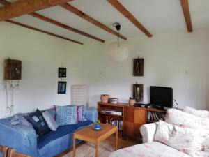 a living room with a blue couch and a tv at Lilla Lilo Gården in Östersund