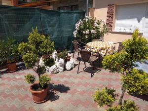 een patio met een tafel en een bos potplanten bij Tulipán Apartman in Bük