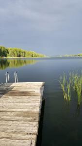 uma doca de madeira num lago com relva na água em Dom nad jeziorem em Gostynin