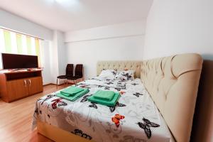 - une chambre avec un lit, un canapé et une télévision dans l'établissement Luxury Radox Apartment Buzau City Center, à Buzău