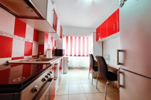 Cuisine ou kitchenette dans l'établissement Luxury Radox Apartment Buzau City Center