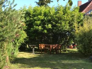 Zahrada ubytování Hering FeWo I Apartment Terrace