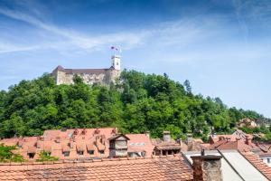 een kasteel op de top van een heuvel met daken bij Barbo Palace Apartments and Rooms in Ljubljana
