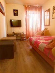 a bedroom with a bed and a flat screen tv at Holiday Home Ana in Prvić Luka