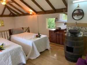 a bedroom with two beds and a sink in a room at Lejartre's Retreat in Mount James