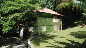 a house covered in ivy with a grass yard at Lejartre's Retreat in Mount James