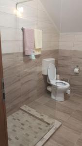 a bathroom with a toilet and towels on a wall at Casa Davideea in Colibiţa +26 photos