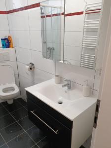 a bathroom with a sink and a mirror and a toilet at QM Apartment in Triberg