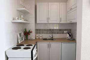Kuchyň nebo kuchyňský kout v ubytování Apartman Sofia