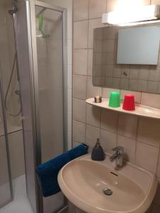 ein Bad mit einem Waschbecken und einer Dusche in der Unterkunft Strandnest in Horumersiel