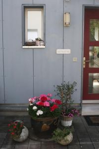 Gartenzimmer外面的花园