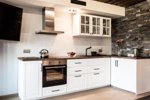 Kuchnia lub aneks kuchenny w obiekcie Apartament Gubałówka