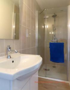 une salle de bain avec un lavabo et une douche dans l'établissement Rose cottage, à Pontrieux 61 autres photos