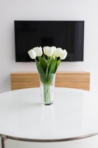 TV a/nebo společenská místnost v ubytování Baron Apartments Sušice