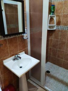 a bathroom with a sink and a shower at Habitación Hansa in Puerto Vallarta +9 photos