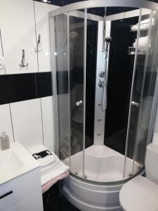 Un baño con ducha, lavabo e inodoro. en Bulwar Gorzów II, en Gorzów Wielkopolski 7 fotos más