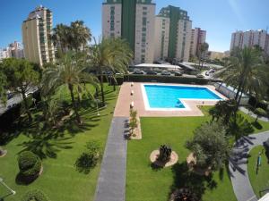 an aerial view of a park with a swimming pool and palm trees at Apartamento La Florida en Playa de Gandía in Playa de Gandia