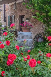un jardín de flores con rosas rojas y una olla en un barril en B&B il mio Casale, en Colà di Lazise